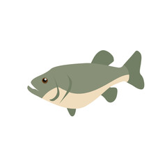 Fish Flat Illustration