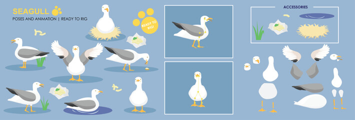 Cute Seagull character with multiple poses and assets, ready to rig for animation, cartoon character, sea life, birds, chips, sea birds, vector collection. 