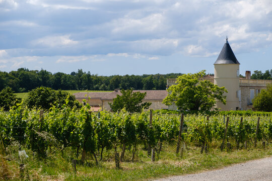 wide view of Chateau Lafitte vineyards Yvrac Gironde Bordeaux France