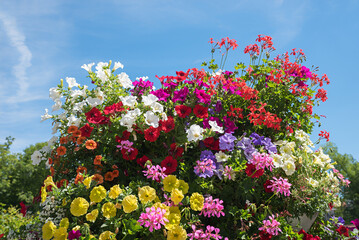 Fototapety na wymiar - Fototapeta24.pl