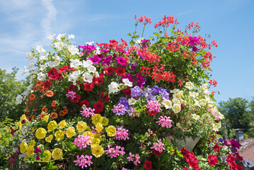 Fototapety na wymiar - Fototapeta24.pl