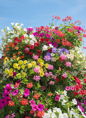 Fototapety na wymiar - Fototapeta24.pl