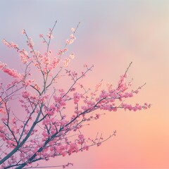 Free good morning scene wallpaper background photo