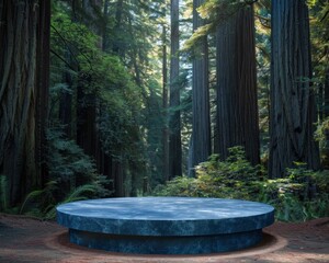 Blue podium surrounded by giant redwoods, towering trees and forest majesty, timeless nature