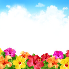 ハイビスカス　入道雲　素材　水彩画　風物詩　晴れ　レジャー　観光　涼しい　華やか　暑中見舞い　お中元　正方形