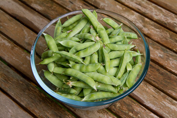 Freshly gathered pea pods in a bowl on a wooden table