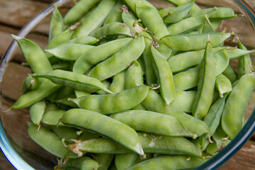 Freshly gathered pea pods in a bowl on a wooden table