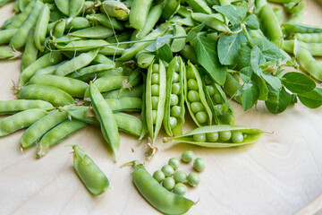 Freshly gathered pea pods , some open with seeds visible, on a wooden tray