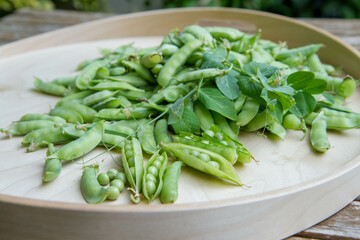 Freshly gathered pea pods , some open with seeds visible, on a wooden tray
