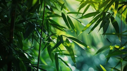 Naklejka premium Green Bamboo Forest