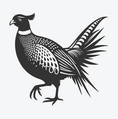 Obraz premium Majestic Pheasant Silhouette, Captivating Avian Art for Nature Lovers