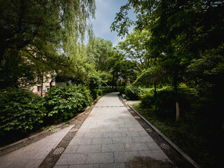 Beautiful scenery of the park, Changchun, China