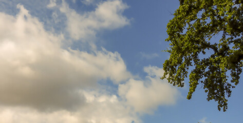 A serene photograph of the sky with fluffy clouds, capturing the peacefulness and beauty of nature. The image showcases the various shapes and textures of the clouds against a vibrant blue sky, evokin