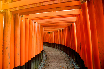 The most beautiful viewpoint of Fushimi Inari Taisha(Fushimi Inari Shrine) is a popular tourist...