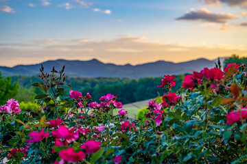 Obraz premium mountains near Franklin, NC