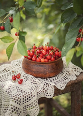 A photo of a ripe red cherry on a plate.