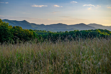 mountains near Franklin, NC