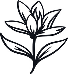Magnolia line art. Flat isolated  hand drawn flowers. Vector illustration.