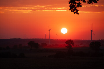 Fototapeta premium red sunset over a field of windmills