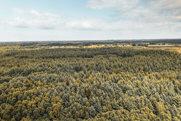 Aerial view of the dense forest area in Derryounce, Portarlington, County Laois. The image showcases an expansive canopy of trees under a bright sky, with the distant landscape of rural Ireland.