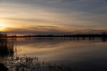 a row of trees without foliage and a lake shore at sunset in spring