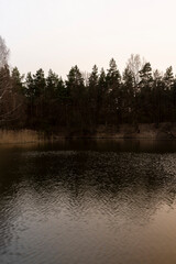 dreary weather in spring at dusk on a lake in the forest