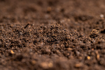 details of agricultural soil to improve the quality of crop plants
