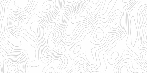 The stylize topography landscape grid map and counter wave line geometric wire outline area design. nature strip diagram topographic creative concept discovery line map texture background.