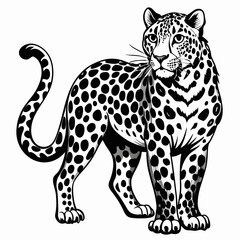 panther logo, cheetah logo, elephant logo, tiger logo