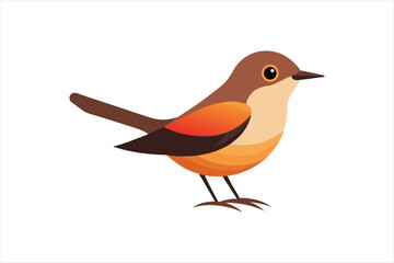 Warbler bird vector artwork illustration 