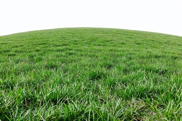 Obraz premium Expansive Green Field Creating a Peaceful and Open Outdoor Scene