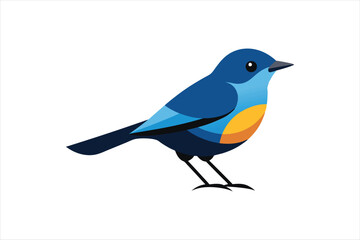 Warbler bird vector artwork illustration 