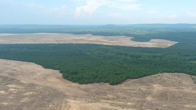 Bledowska Desert aka Polish Sahara aka Pustynia Bledowska. The only desert in Poland and the largest inland area of loose sand in Europe. Silesian Highlands in the Lesser Poland Voivodeship.