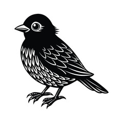 cute bird vector