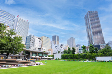 広い芝生の公園と高層マンション