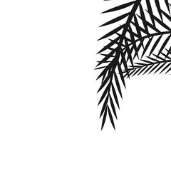 Silhouette Palm Corner