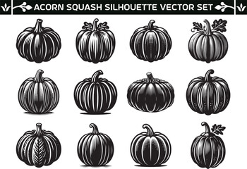 Acorn Squash silhouette vector illustration set