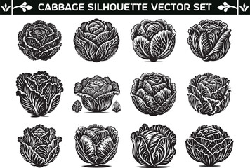 Obraz premium Cabbage silhouette vector illustration set