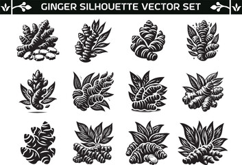 Ginger silhouette vector illustration set