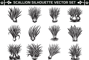 Scallion silhouette vector illustration set