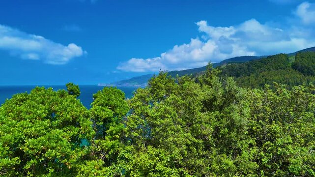 Coastal landscape in the surroundings of the abandoned Lemoniz Nuclear Power Plant. Aerial view from a drone. Lemoniz. Vizcaya. Basque Country. Spain. Europe