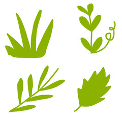 hand holding green leaves