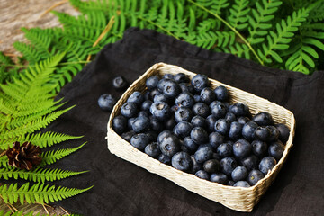 Blueberries in a wicker bowl on a black linen napkin on a wooden table surrounded by green fern