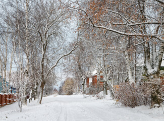 The beginning of winter in the street