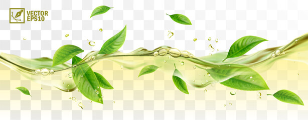 Realistic transparent isolated vector splash of green tea with green leaves and drops, a splash in the form of a wave with bubbles