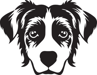 black and white dog head