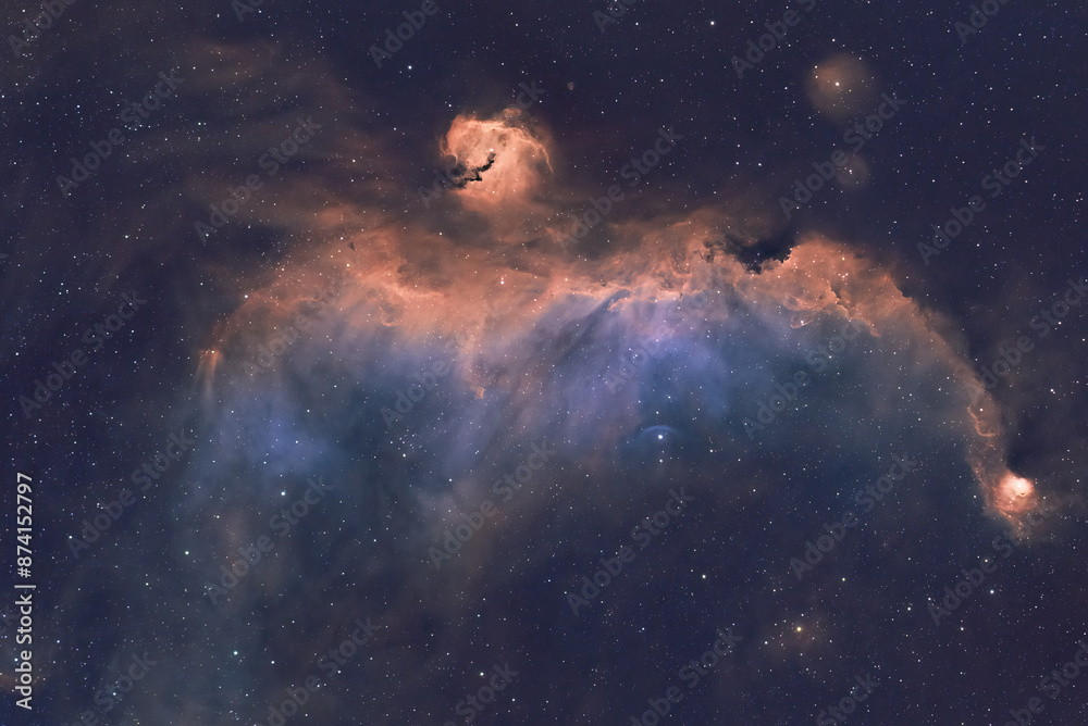 Wall mural deep space astrophotography using a telescope capturing the seagull nebula ic 2177