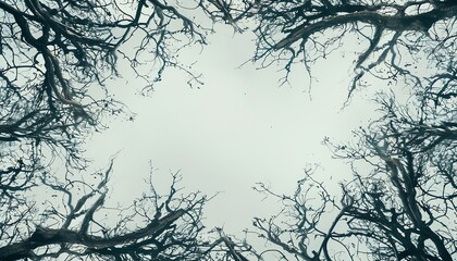 Obraz premium Creepy forest branches as a frame, Halloween, space for text,