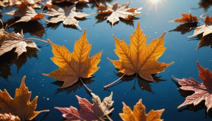 Autumn Leaves Floating on Water.