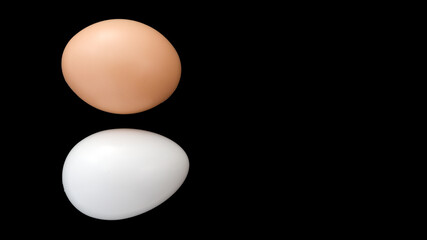 Brown organic eggs versus white eggs 4